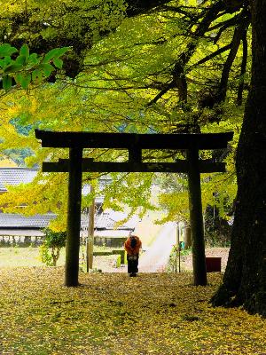 フォトコンテスト