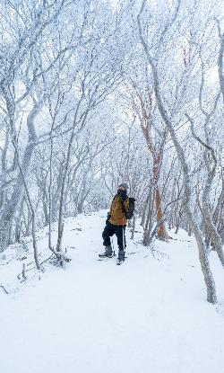 フォトコンテスト