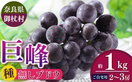 ぶどう