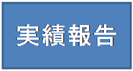 実績報告