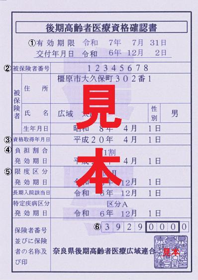 後期高齢者医療被保険者証見本