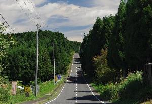 道路の写真