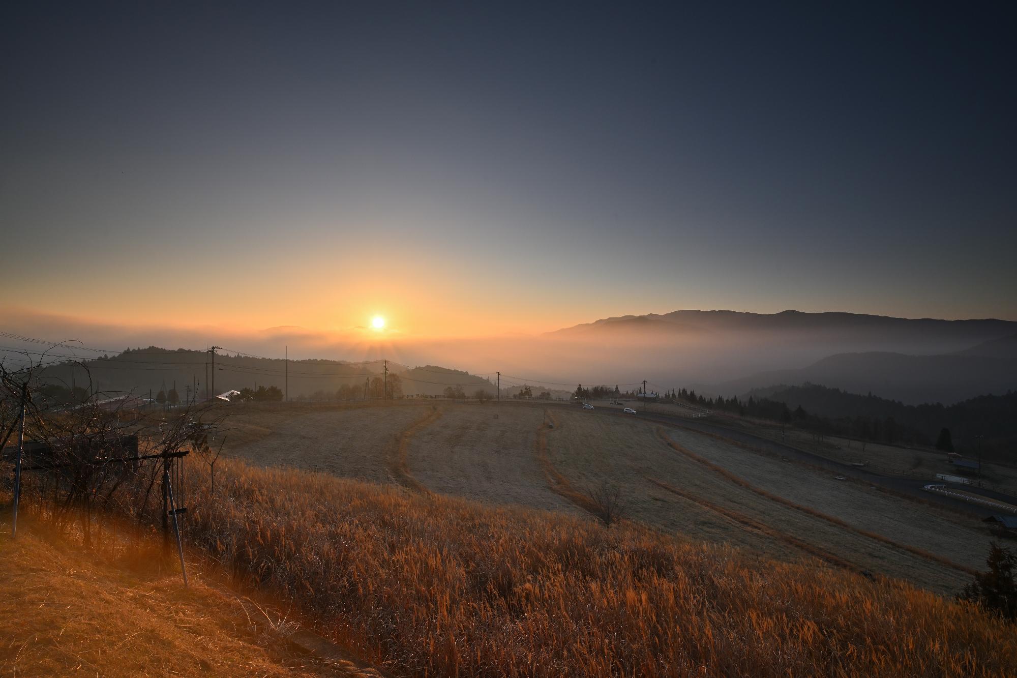 フォトコンテスト