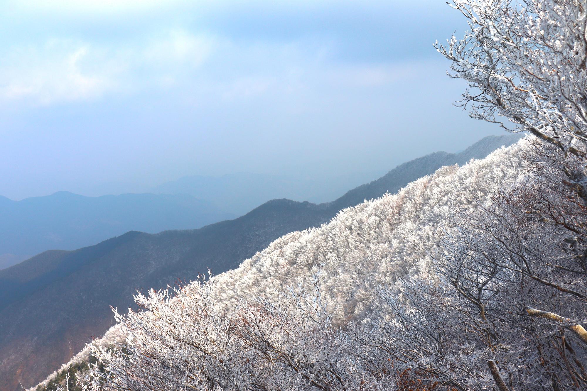 フォトコンテスト