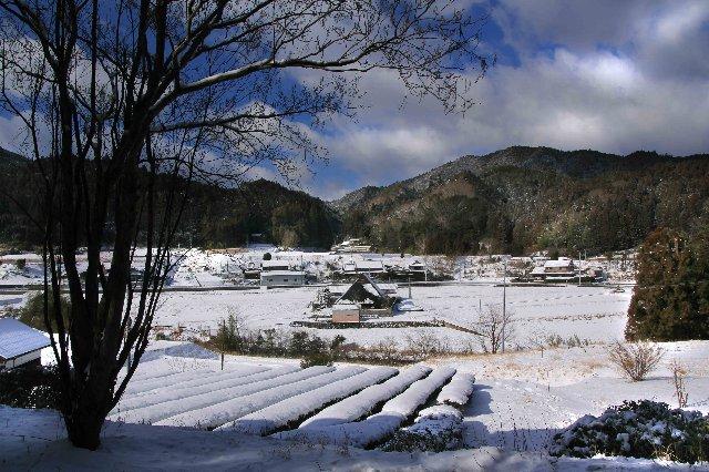 家や畑、木々などが雪で覆われている村の写真