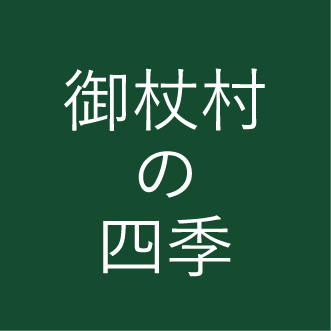 御杖村の四季