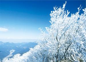 三峰山の冬景色の写真